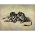 thumbnail image 3 of Butler, John 14x12 Black Modern Framed Museum Art Print Titled - Big Cats III, 3 of 5