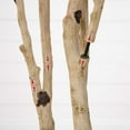 thumbnail image 4 of Nearly Natural Potted Artificial Birch Tree - 9' - Unlit, 4 of 8