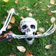 thumbnail image 2 of Sonducket Modelo de esqueleto de Halloween, accesorio de fiesta realista, accesorios de calavera interesantes, adorno de casa embrujada, Disfraces de disfraces, 2 of 6