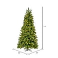 thumbnail image 4 of Vickerman 7.5' x 48" Brighton Pine Artificial Christmas Tree with Warm White Dura-lit LED Lights, 4 of 7