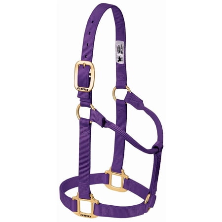 Weaver Equine Horse Halter: Comfort Durability & Perfect Fit for Your Horse Raspberry / Yearling