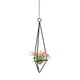 thumbnail image 2 of Decoración de soporte de flores de hierro colgante de piña de aire-percha de altura media 25cm con material de cuerda de cáñamo hierro ANGGREK Otros, 2 of 7
