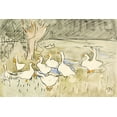 thumbnail image 2 of Hoytema, Theo van 18x13 White Modern Wood Framed Museum Art Print Titled - Ducks, 2 of 4