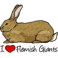 thumbnail image 2 of CafePress - I Heart Flemish Giant Rabbits Mugs - 11 oz Ceramic Mug - Novelty Coffee Tea Cup, 2 of 4