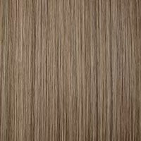Ash Brown&Bleach Blonde