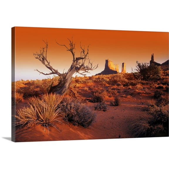 Great BIG Canvas | "Dead Tree In Desert Monument Valley, United States Of America" Canvas Wall Art - 36x24