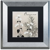 Trademark Fine Art "Flowering Herbs II" Canvas Art by Color Bakery Black Matte, Silver Frame