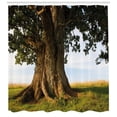 thumbnail image 3 of Ambesonne Tree Shower Curtain, Majestic Oak Estonia Rural, 69"Wx70"L, Cocoa Fern Green, 3 of 3