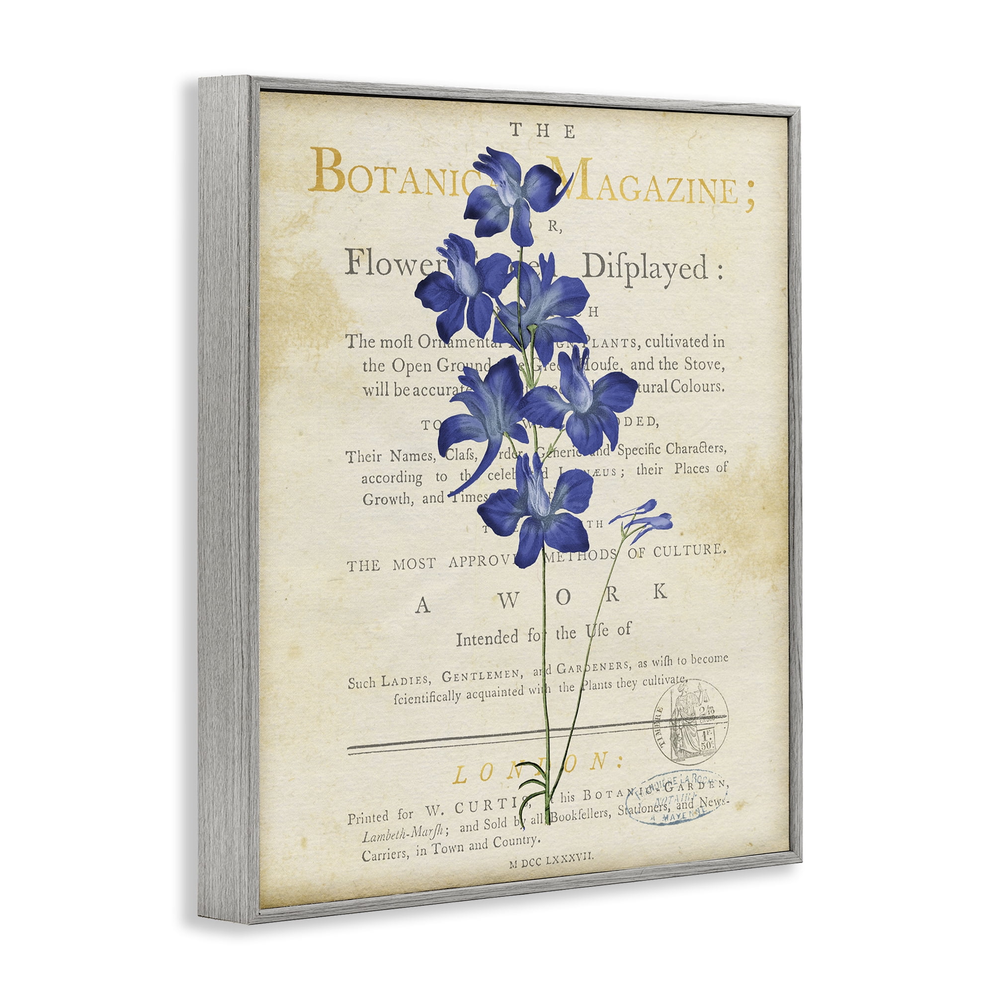 Stupell Industries Natural Botanic Garden Flower Gray Framed Giclee Art, design by Susan Arnot