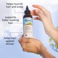 thumbnail image 4 of Sky Organics Organic GroPotion for Hair to Strengthen, Lengthen & Condition, 6 fl. oz, 4 of 6