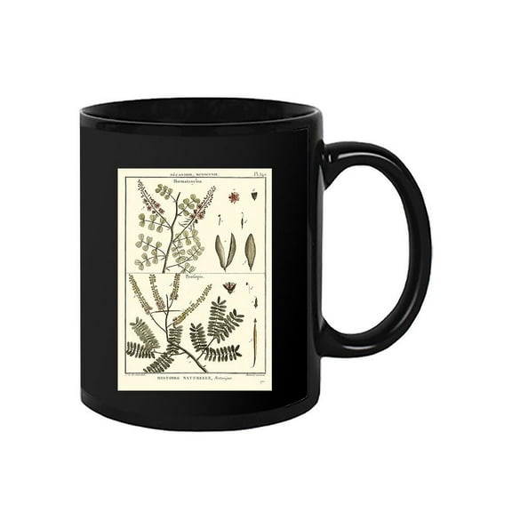 Fern Classification Ii Mug - Denis Diderot Designs,