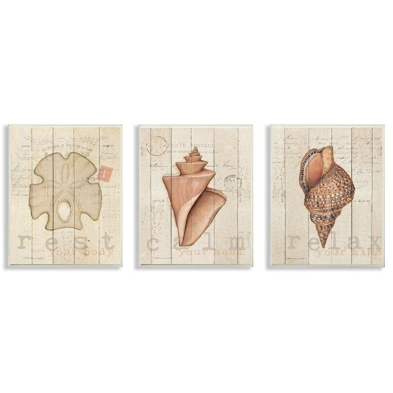 The Stupell Home Decor Neutral Tan Sand Dollar and Shells Planked Look Trio Wall Plaque Art, 3pc, each 10 x 15
