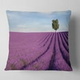 thumbnail image 2 of Designart Lavender Field with Solitary Tree - Landscape Photography Throw Pillow - 16x16, 2 of 5