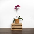 thumbnail image 2 of Washable Paper Planter Bag; Waterproof Inside Lining; Round Bottom; Brown; 18x18x18cm, 2 of 2