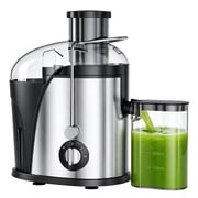 TINANA 500W Juicer Machine, 2-Speed Juice Extractor with Wide Feed Chute, Stainless Steel Filter Basket, Juice Cup