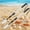 Three-section telescopic handle 2pcs, variant on 1/2pcs Stainless Steel Retractable Beach Sifter Scoop, Ideal for Treasure Hunting, Shell Collecting, Conch Collecting, Beach Combing, Also for Cleaning Cat Litter, A No-Bend Cat Litter Scoop