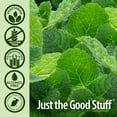 thumbnail image 4 of Nature's Answer PerioWash Alcohol-Free Mouthwash Cool Mint - 16 fl oz, 4 of 7