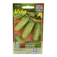 thumbnail image 1 of Semillas De Pepinillo Verde Víta 2 Gr, 1 of 3