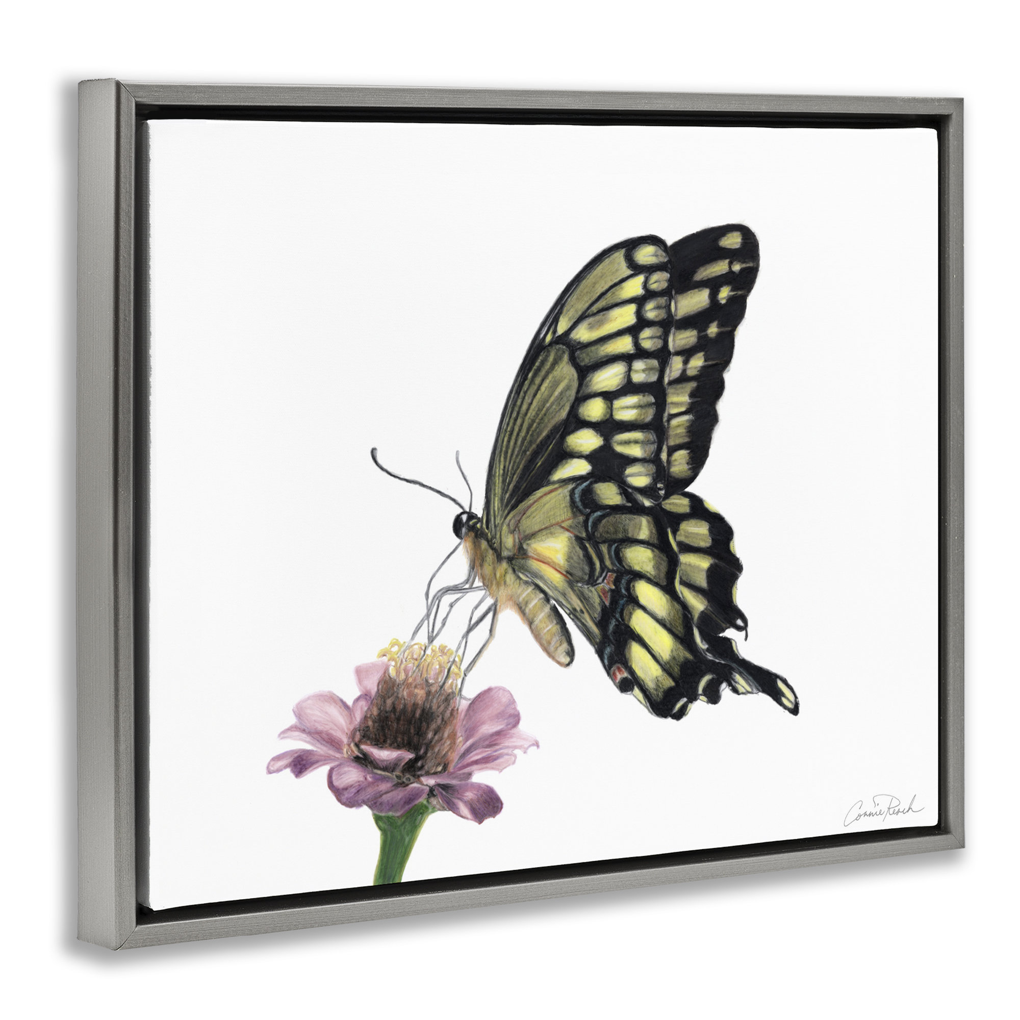 Stupell Industries Minimal Butterfly & Flower Animals & Insects Painting Gray Floater Framed Canvas Art Print Wall Art, 31 x 25