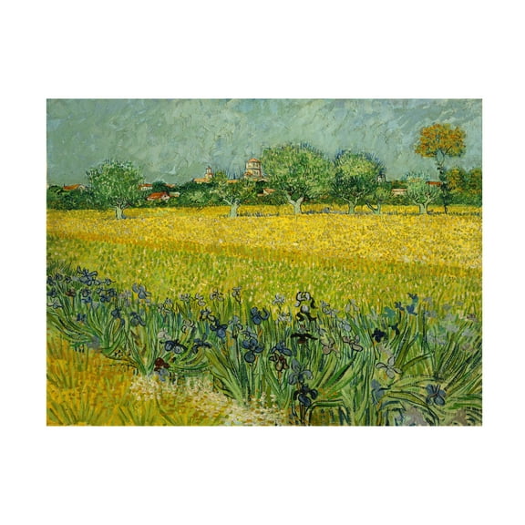 Van Gogh 'Field With Flowers Near Arles' Canvas Art