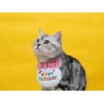 thumbnail image 5 of Bandana para mascotas con texto en inglés "Happy Birthday" para gatos y perros, bufandas y gorro de fiesta, miniperro, accesorios para mascotas, rosa A, 5 of 5