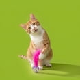 thumbnail image 2 of Vibrant Life Bell and Feather Lattice Ball Cat Toy, 2 of 8