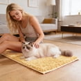 thumbnail image 5 of YaoZQ Beige Pet Floor Mat Soft Plush Absorbent Rug Non Slip Bathroom Carpet for Dog Water Bowl Muddy Paws Washable Home Decor 24 x 16 Inch, 5 of 5