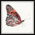 thumbnail image 2 of Parvez Taj "Tiger Butterfly" Framed Painting Print, 2 of 6