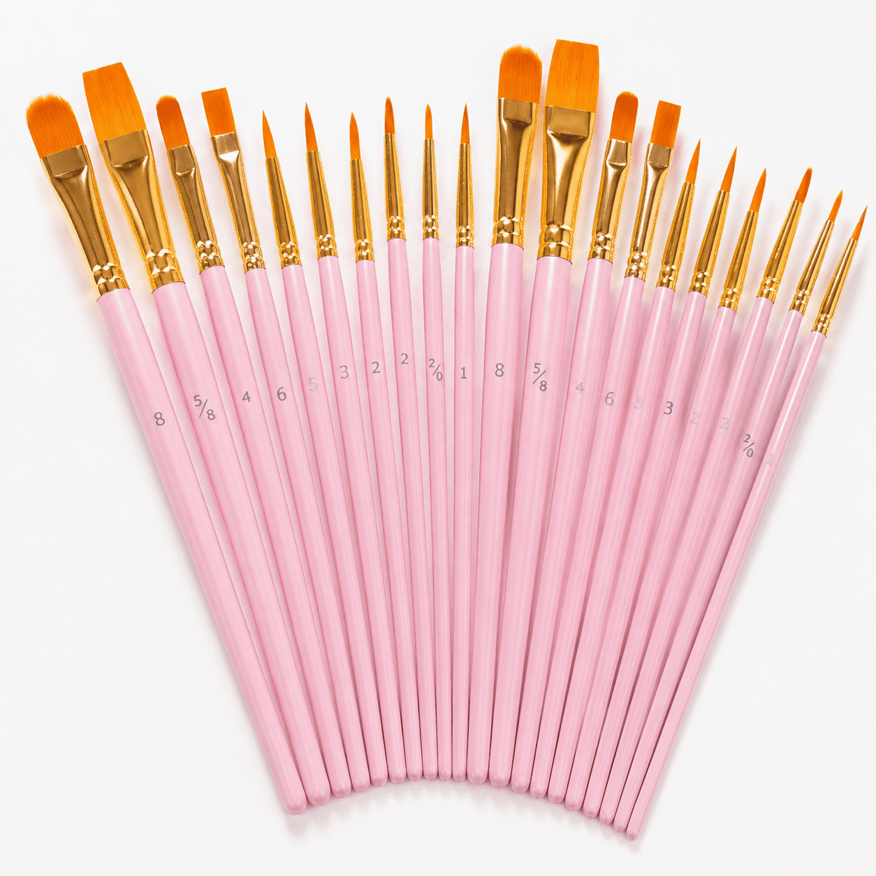 Pink 20-Pack Professional Artist Paint Brushes Set for Art Craft and Painting Projects