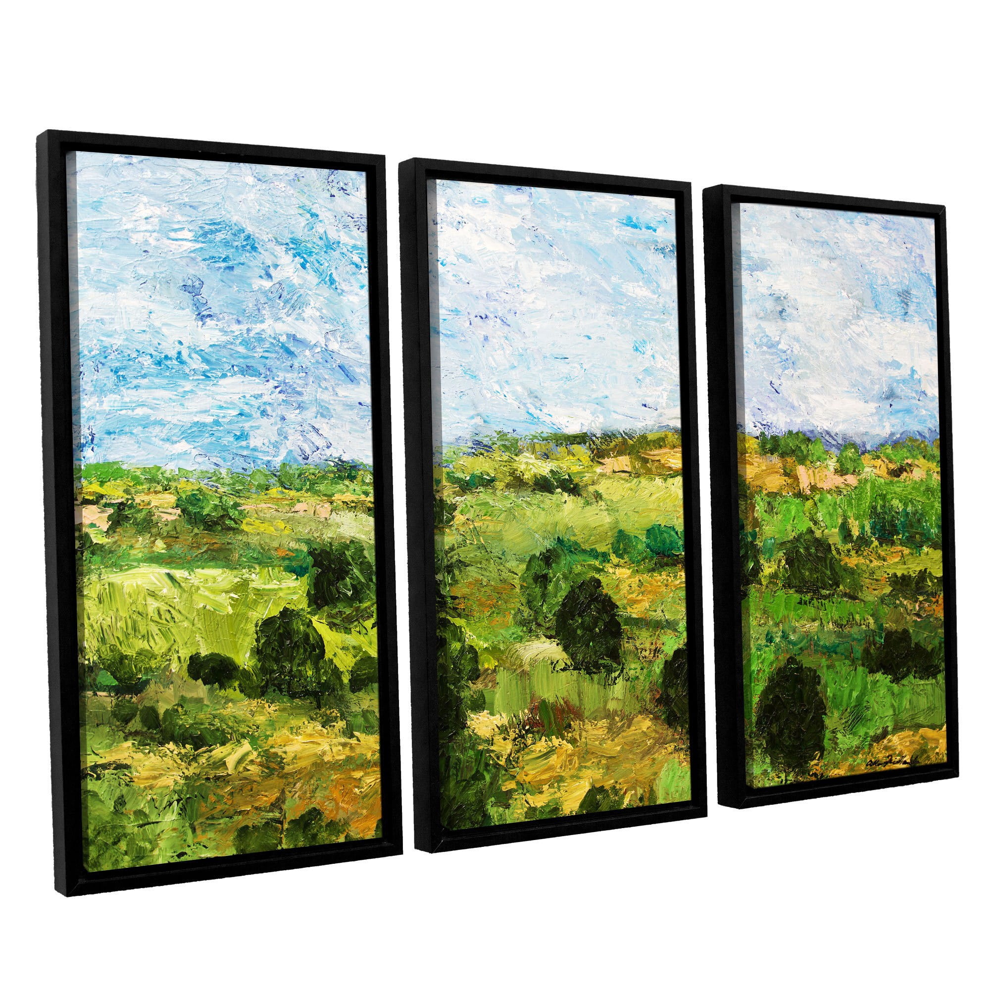 ArtWall Allan Friedlander "Just Roll Along" 3-Piece Floater-framed Canvas Set