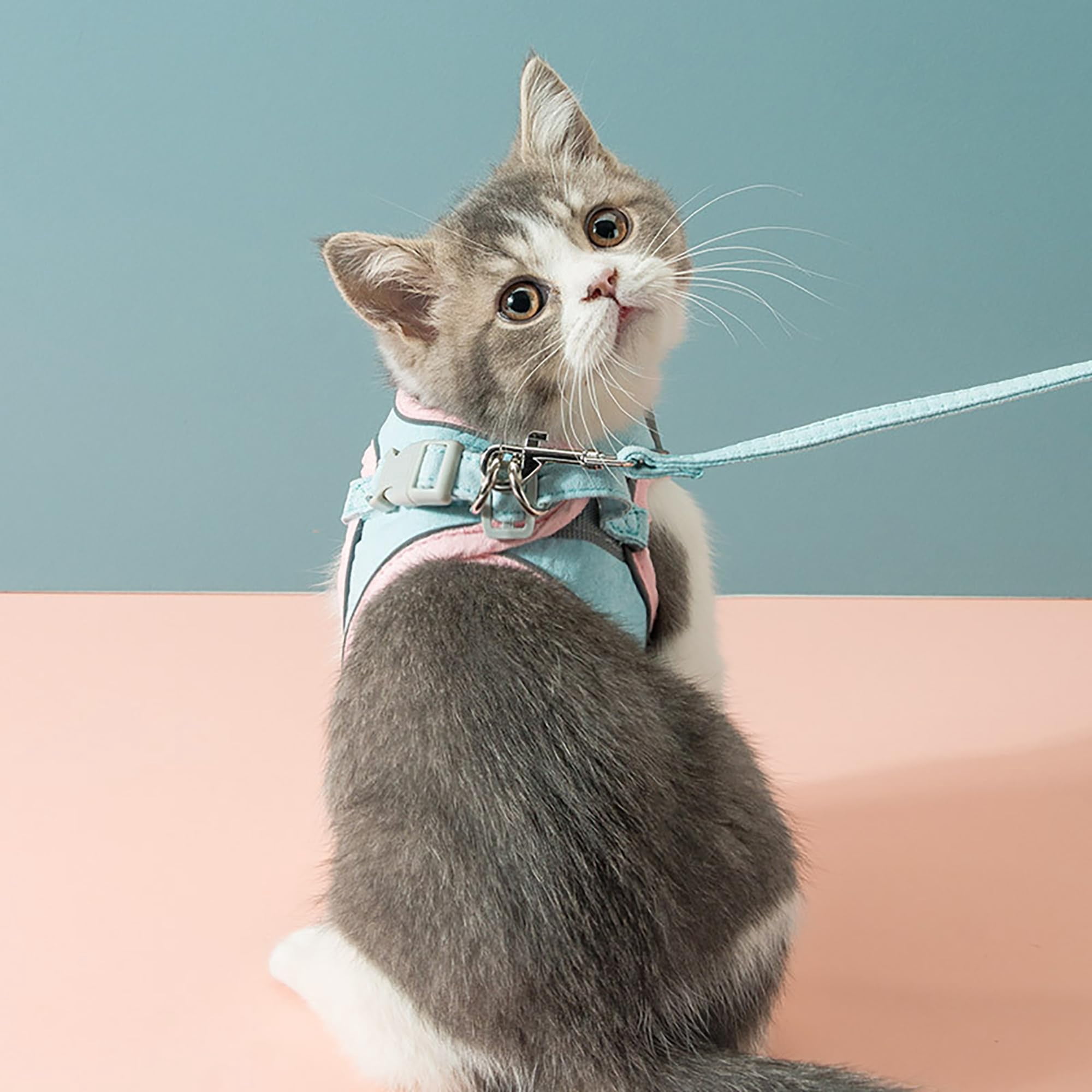 Pawras Cat Harness and Leash, Escape-Proof Vest Style Cat Harness and Leash, Breathable Soft Adjustable Escape Proof Cats Leash, Easy to Wear for Outdoor Walking(Blue, XL)