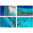 thumbnail image 2 of Under the Sea Quadriptych, 2 of 4