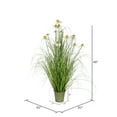 thumbnail image 5 of Vickerman 48" Artificial Potted Green Grass and Daisies., 5 of 5