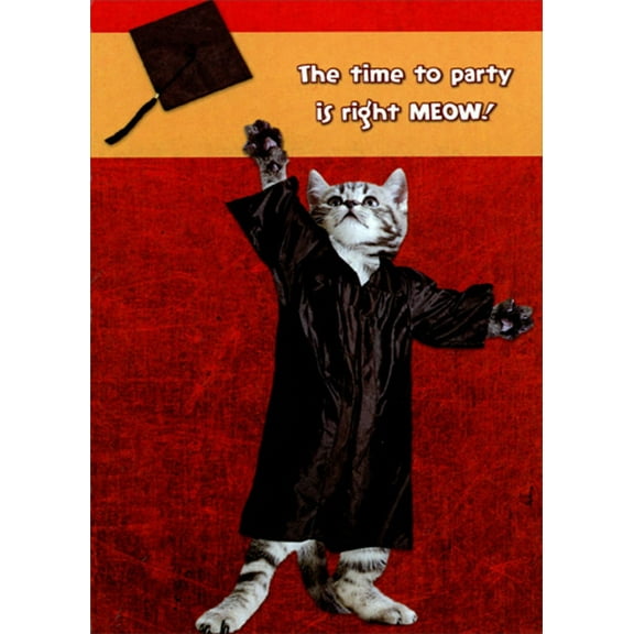 Designer Greetings Grad Kitten Throwing Cap in Air Funny / Humorous Graduation Congratulations Card