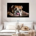 thumbnail image 2 of Elephant Stock Sad Bulldog Wall Art - Horizontal Canvas Wall Art - Living Room Wall Decor - Animal Canvas - Black And Orange Decor - 48" x 32", 2 of 8