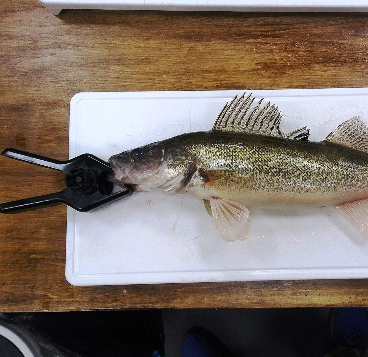 fish filleting board with clamp