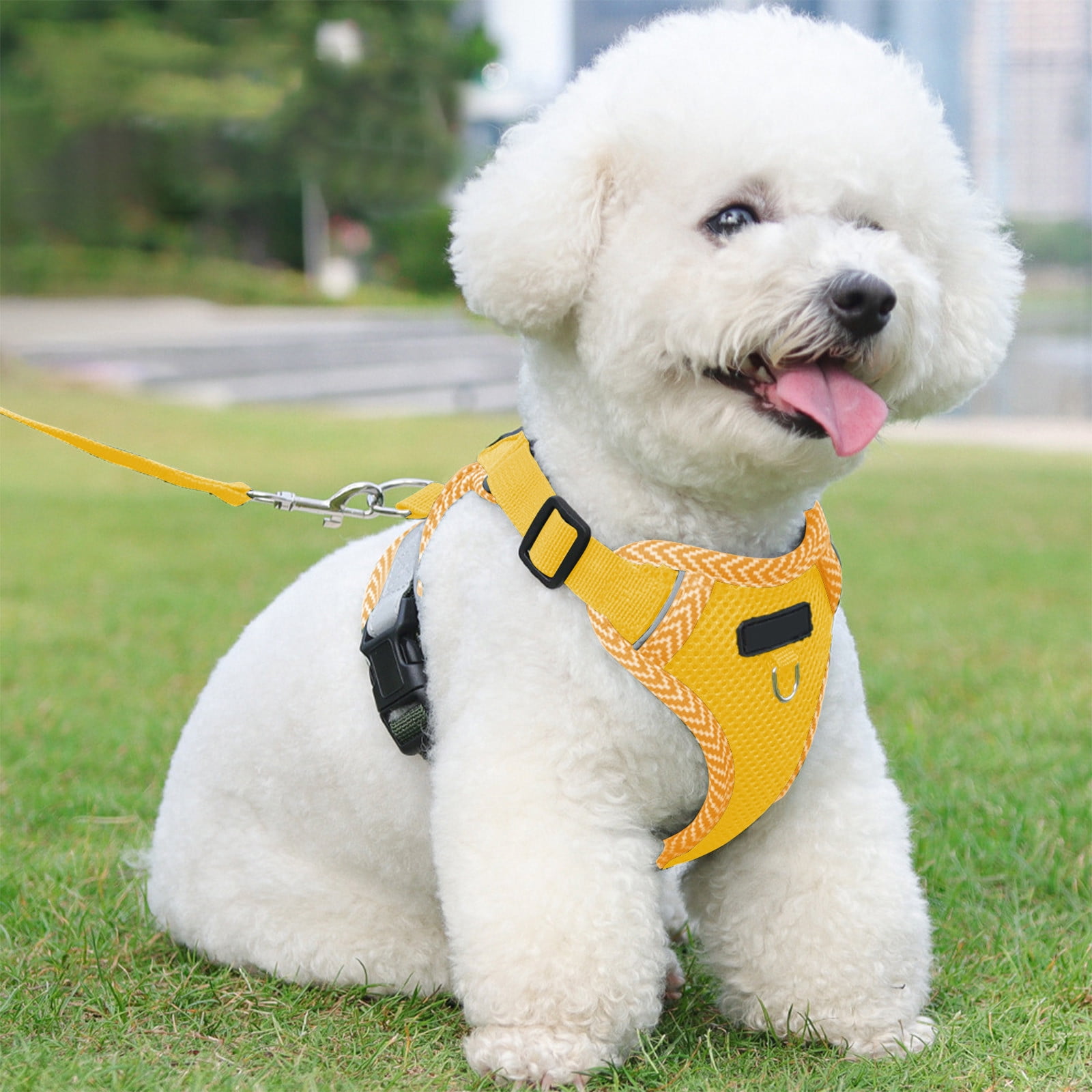 JilgTeok 5 Packs Dog and Cats Harness and Leash Sleeveless Style Pet Reflective Breathable Leash Comfortable Vest Suitable for Outdoor Cats and Dog Walking Travel Escape Proof