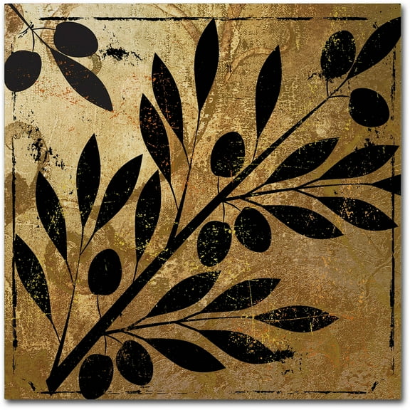 Trademark Fine Art "Bellissima II" Canvas Art by Color Bakery