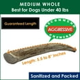 thumbnail image 2 of Deluxe Naturals 4-Pack Medium Whole Elk Antler Dog Chews, Natural Long-Lasting Chew Treat for Small and Medium Dogs, 2 of 9