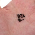 thumbnail image 2 of 1000 Pcs Vis Têtes Rondes Auto-Tappantes Petites Pièces Métalliques Électroniques Noir Blanc, 2 of 9