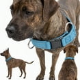 thumbnail image 3 of Collier pour Chien en Tissu à Double Couche avec Design Réfléchissant pour Senior, Accessoire de Laisse Respirant et Confortable, 3 of 5