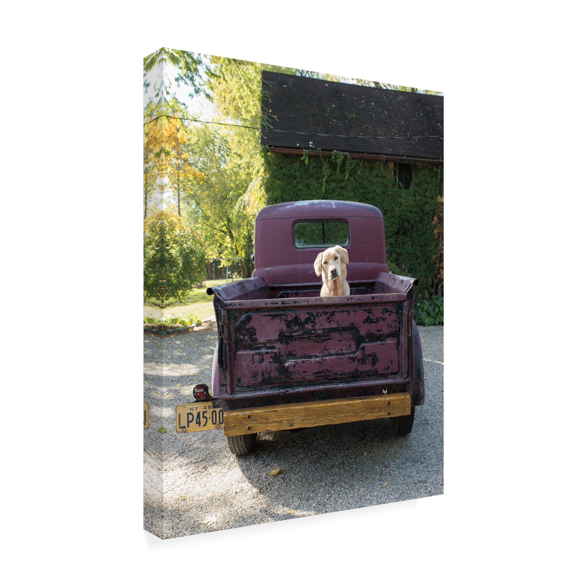 Jim Dratfield 'Get Out of Dodge' Canvas Art