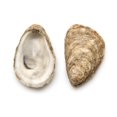 thumbnail image 4 of Conchas de ostra limpias recolectadas a mano, 30 unidades, 8-10 cm, 4 of 9