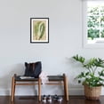 thumbnail image 3 of Art.com Fern Folio III Art Print by Vision Studio, Black Frame Wall Art, 17" x 23", 3 of 5