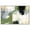 Silver Frame, variant on Textured Greens I High-Gloss Frameless Acrylic Glass Wall Art Color Block Abstract by Art Remedy, Ready to Hang, 15 x 10