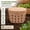 Tawny Brown, variant on In-Ground Worm Composter Outdoor Compost Bin 7 Gallons BPA-Free Vermiculture System for Raised Garden Beds Sage Green