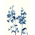 thumbnail image 2 of Goldberger, Jennifer 12x14 White Modern Wood Framed Museum Art Print Titled - Indigo Wildflowers III, 2 of 4