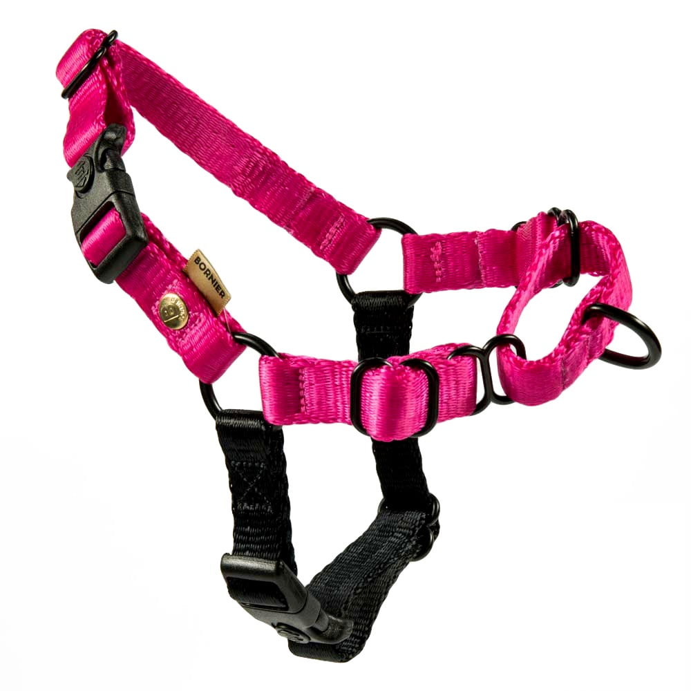 BORNIER No Pull & No Choke, Adjustable & Heavy Duty Dog Walking Harness