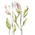 thumbnail image 3 of Goldberger, Jennifer 12x14 Black Modern Framed Museum Art Print Titled - Blooming Stems II, 3 of 5