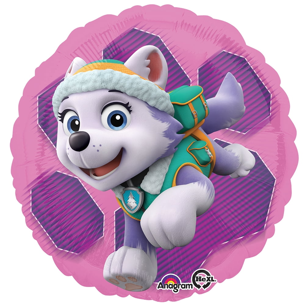 walmart paw patrol skye